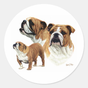 Bulldog Ronde Sticker