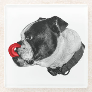 Bulldog Rood Accent Onderzetter
