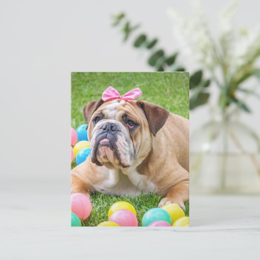 Bulldog Schattige Paashond Hond Hundeportret Huisd Feestdagenkaart (Staand voorkant)
