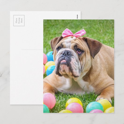Bulldog Schattige Paashond Hond Hundeportret Huisd Feestdagenkaart (Voorkant / Achterkant)