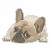 BULLDOG SCHATTIGE PUPPY GROTE GESTANSTE STICKER 4  (Voorkant)