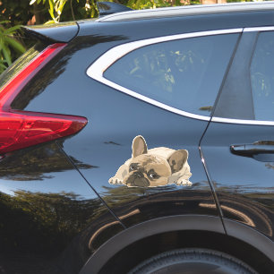 BULLDOG SCHATTIGE PUPPY GROTE GESTANSTE STICKER 4