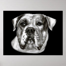 Bulldog schilderij poster