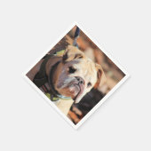 Bulldog Servet (Hoek)