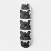 Bulldog Skateboard (Voorkant)