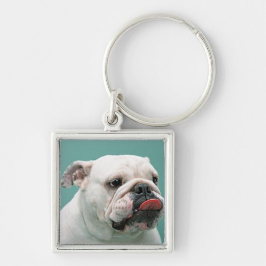 Bulldog Sleutelhanger (Voorkant)