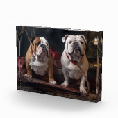 Bulldog Snowy Sleigh Kerst Decor Fotoblokken (Rechts)