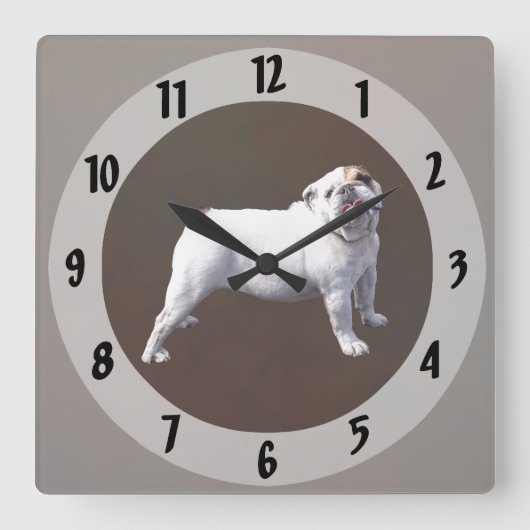 Bulldog Staat Rechtop Vierkante Klok (Voorkant)