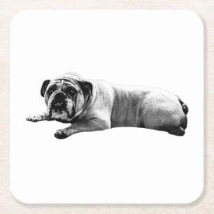 Bulldog Still Moments Kartonnen Onderzetters