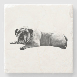 Bulldog Still Moments Stenen Onderzetter