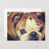 bulldog stink eye briefkaart (Voorkant / Achterkant)