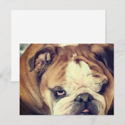 bulldog stink eye briefkaart (Voorkant / Achterkant)