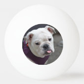 Bulldog Taunt Pingpongbal (Achterkant)