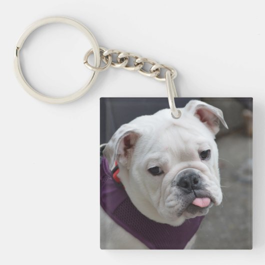 Bulldog Taunt Sleutelhanger (voorkant)