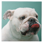 Bulldog Tegeltje (Voorkant)
