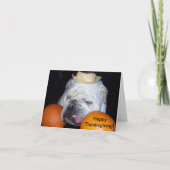 Bulldog-Thanksgiving Feestdagen Kaart (Voorkant)