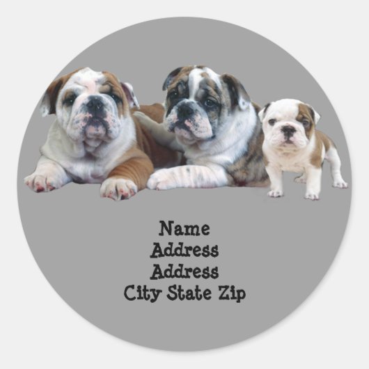 Bulldog Trio Adreslabel Ronde Sticker (Voorkant)