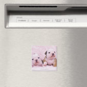 Bulldog; vaak de Engelse Bulldog genoemd. is een Magneet (Insitu (Vaatwasser))