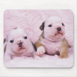 Bulldog; vaak de Engelse Bulldog genoemd. is Muismat