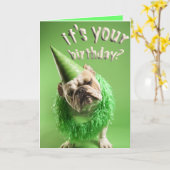 bulldog verjaardagskaart kaart (Gele Bloem)