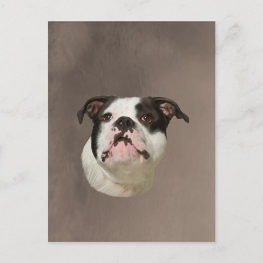 Bulldog Water Color Art Painting Briefkaart (Voorkant)