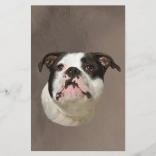 Bulldog Water Color Art Painting Briefpapier