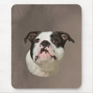 Bulldog Water Color Art Painting Muismat