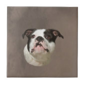Bulldog Water Color Art Painting Tegeltje (Voorkant)