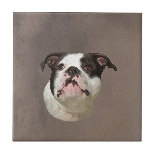 Bulldog Water Color Art Painting Tegeltje (Voorkant)