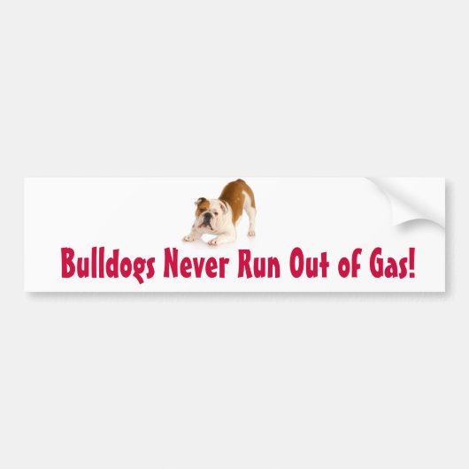 Bulldogs lopen nooit zonder gas bumpersticker (Voorkant)