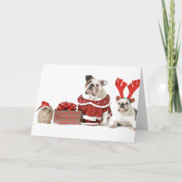 BULLDOGS MET KONIJN KERSTKAART KAART