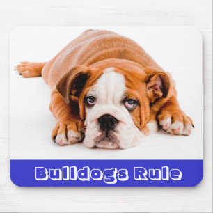 Bulldogs Regeert! Engelse Bulldog Puppy Hond Muis Muismat