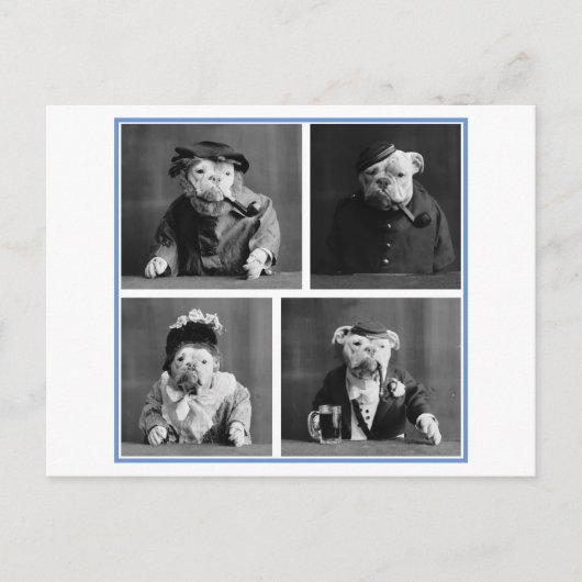 Bulldogs verkleed als mensen Oddity Briefkaart (Voorkant)