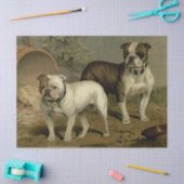Bulldogs Weefpapier Tissuepapier (Craft)