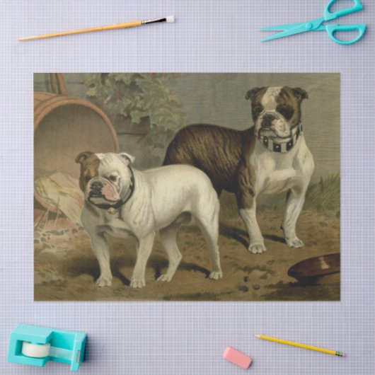  Bulldogs Weefpapier Tissuepapier (Craft)