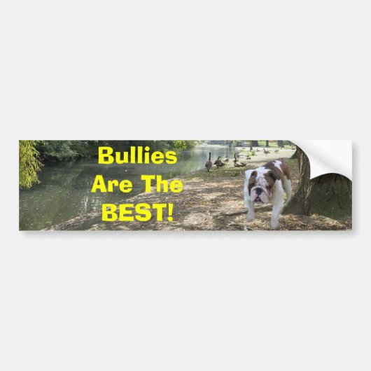 Bulldogs zijn de beste Bumpersticker (Voorkant)