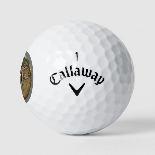 BULLET Golfballen (Logo)