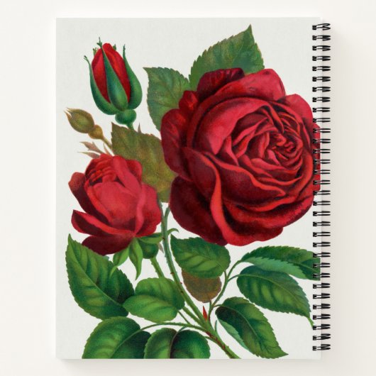 Bullet Journal met groot Roos Notitieboek (Achterkant)