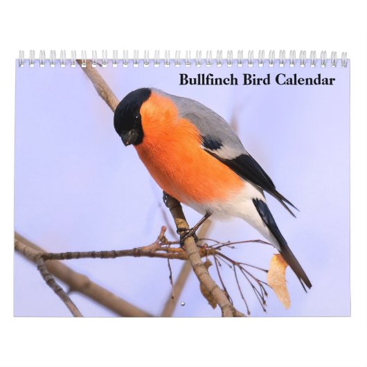 Bullfinch Bird Calendar Kalender (Hoes)