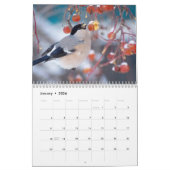Bullfinch Bird Calendar Kalender (Jan 2026)