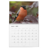 Bullfinch Bird Calendar Kalender (Mar 2027)