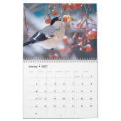 Bullfinch Bird Calendar Kalender (Jan 2027)