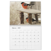 Bullfinch Bird Calendar Kalender (Feb 2027)