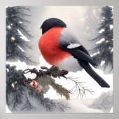 Bullfinch bird poster (Voorkant)