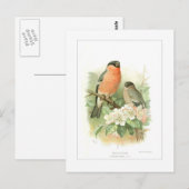 Bullfinch Briefkaart (Voorkant / Achterkant)