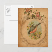 Bullfinch Briefkaart (Voorkant / Achterkant)