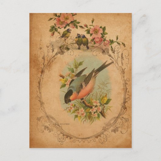 Bullfinch Briefkaart (Voorkant)