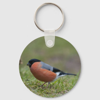 Bullfinch British Bird Sleutelhanger