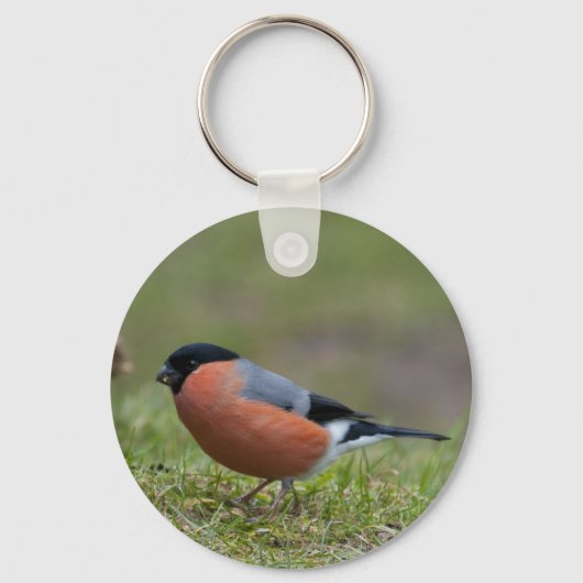 Bullfinch British Bird Sleutelhanger (Voorkant)