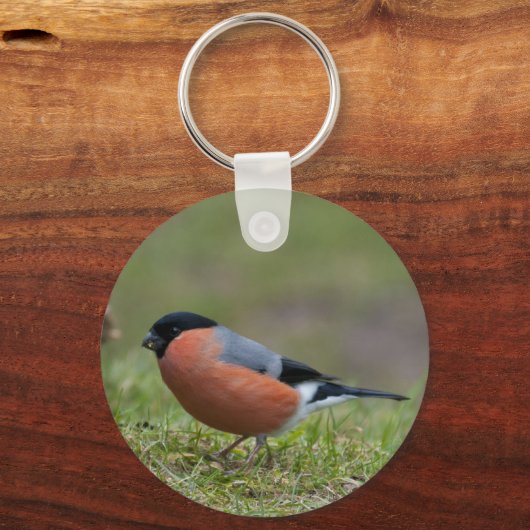 Bullfinch British Bird Sleutelhanger (Voorkant)